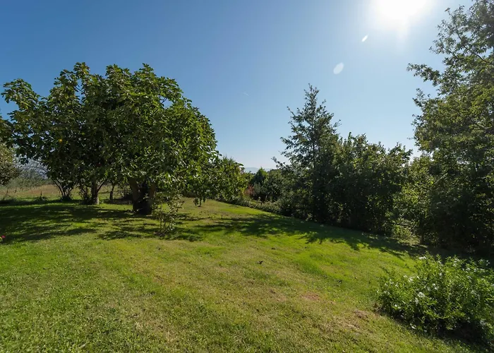 Poggio delle Ginestre